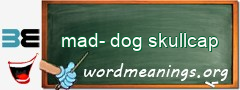 WordMeaning blackboard for mad-dog skullcap
